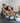 Armortech V2 7ft Men's Competition Barbell