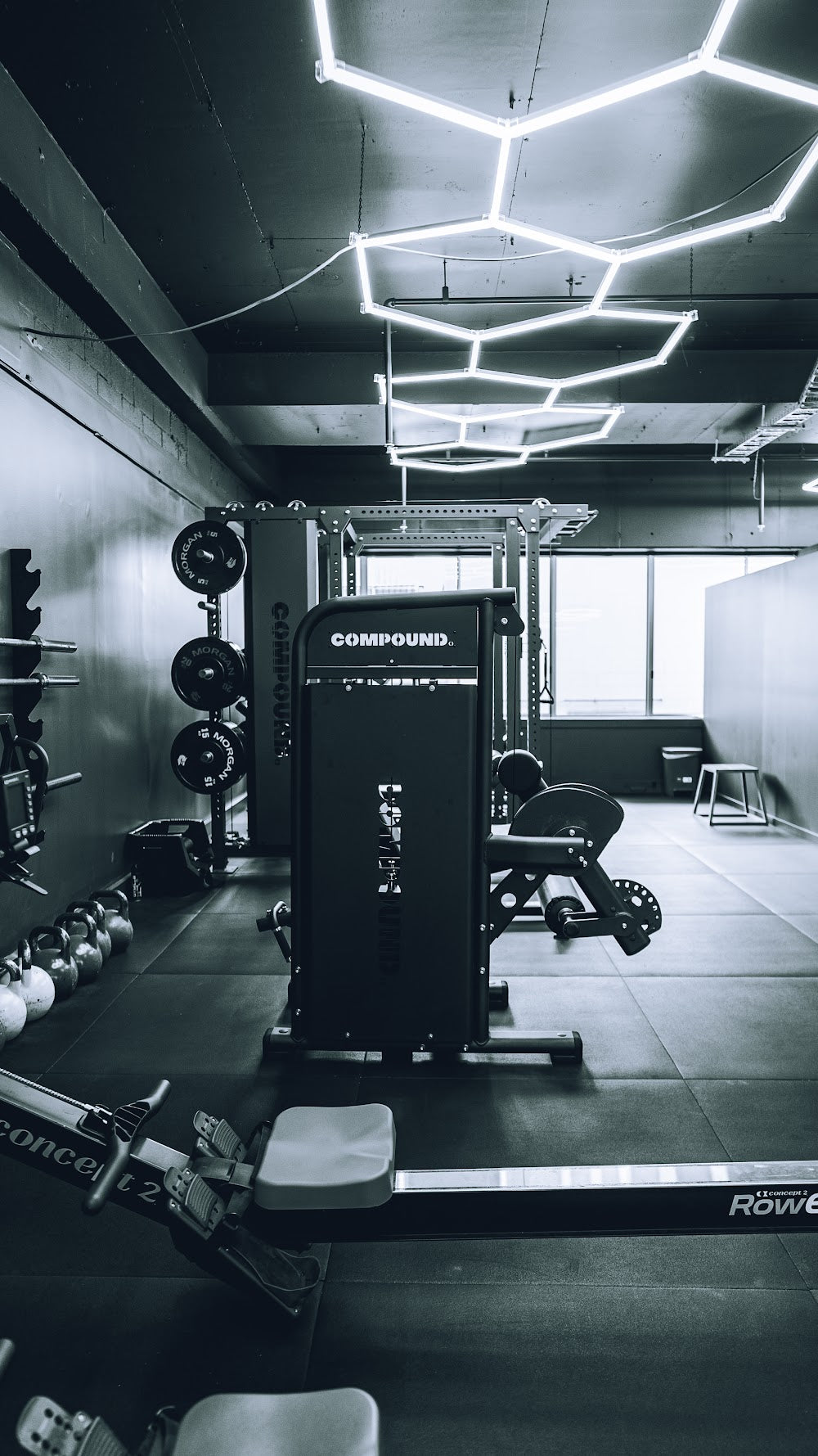 Rig, plate storage and rower under hex lighting in a boutique gym by Compound Fitness