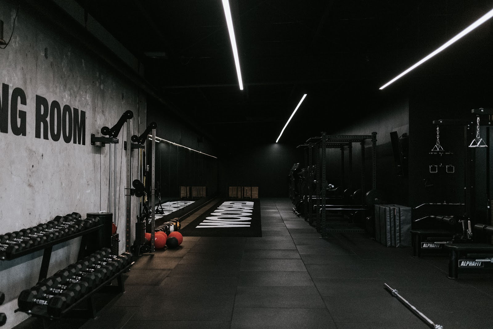 Dumbbell area and plate-loaded machine row in a boutique gym by Compound Fitness